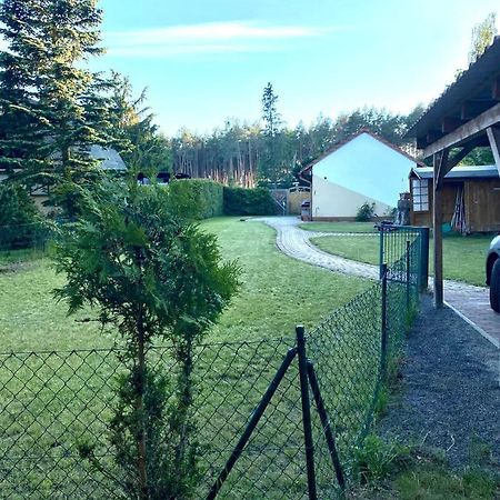 Ferienhaus Am Netzener See 莱宁 外观 照片