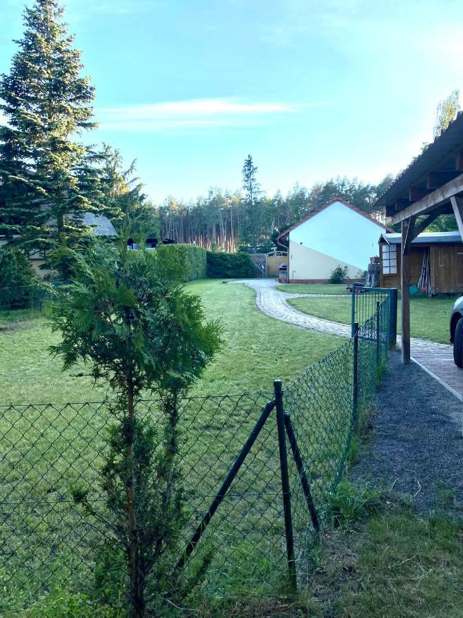 Ferienhaus Am Netzener See 莱宁 外观 照片